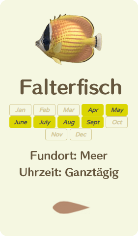Falterfisch